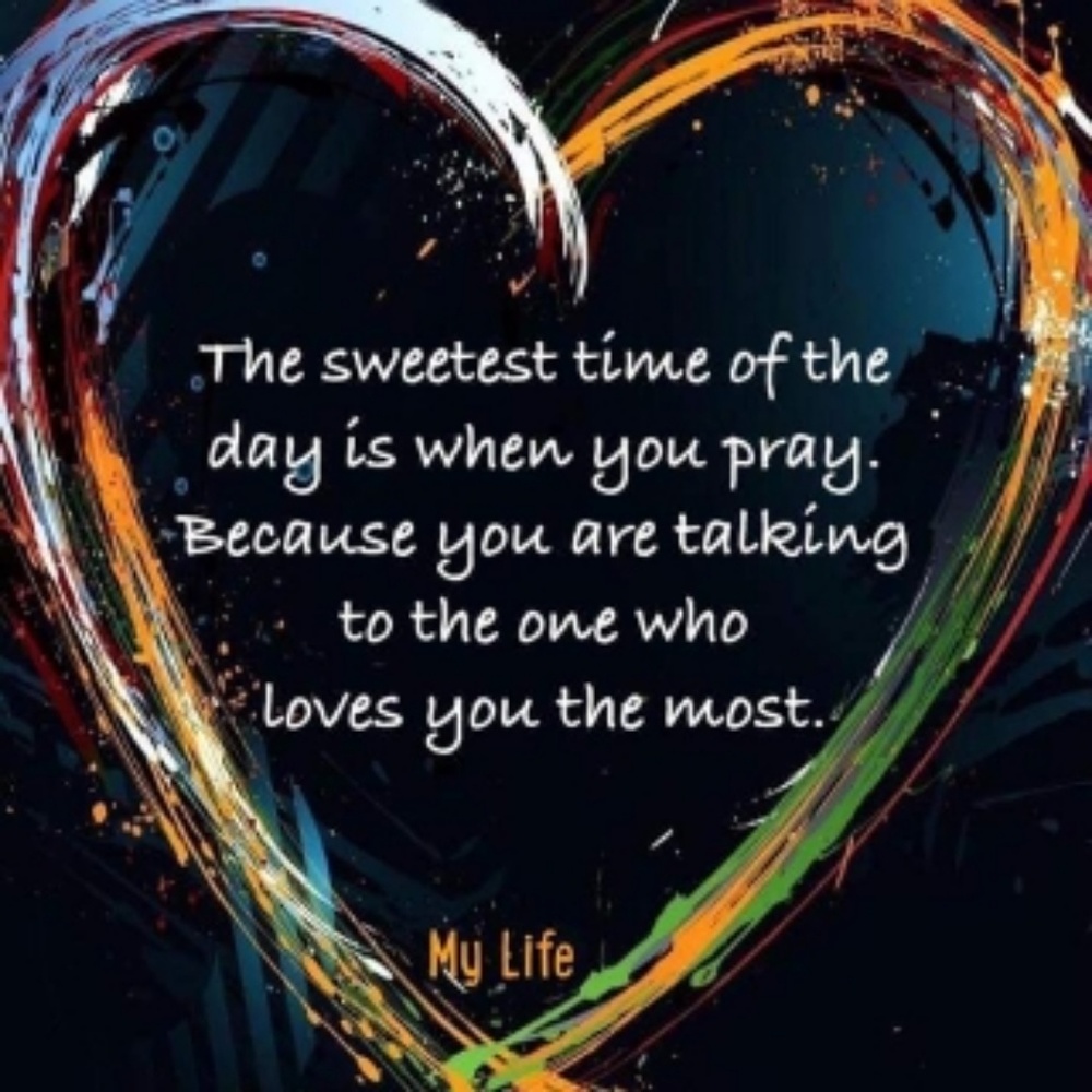 Meet your Posher, Elsie